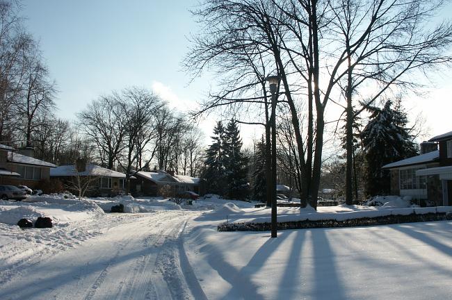 Winter in Guildwood Village